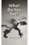 What Do You See?