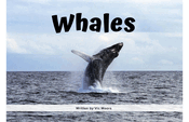 Whales