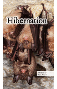 Hibernation