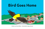 Bird Goes Home