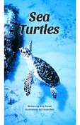Sea Turtles