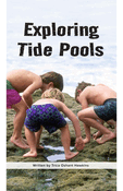 Exploring Tide Pools
