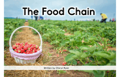The Food Chain