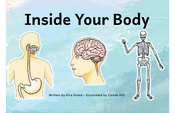 Inside Your Body