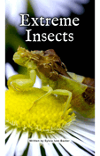 Extreme Insects