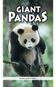 Giant Pandas