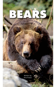 Bears
