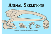 Animal Skeletons