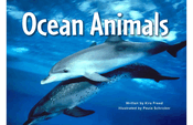 Ocean Animals