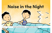 Noise in the Night