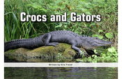 Crocs and Gators