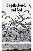 Gaggle, Herd, and Murder