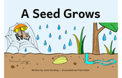 A Seed Grows