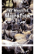 The Magic of Migration