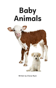 Baby Animals
