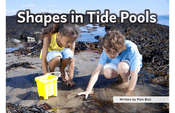 Shapes in Tide Pools