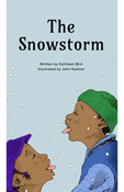 The Snowstorm