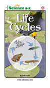 Life Cycles